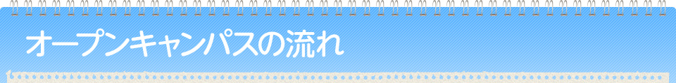 I[vLpX̗
